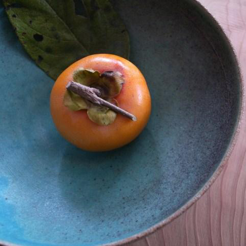 Blood Health and Virus Protection