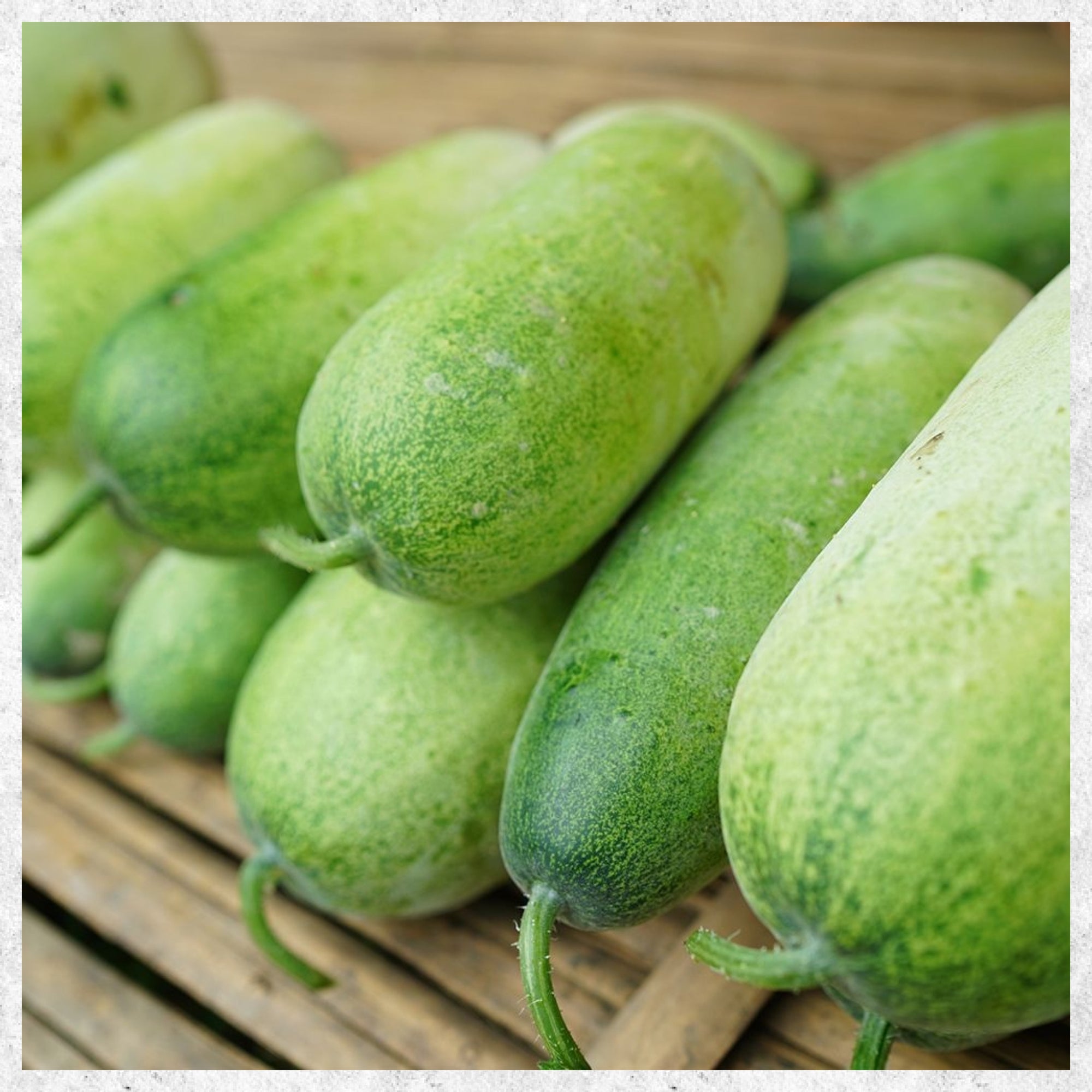 What Are Winter Melons and Why Eat Them?