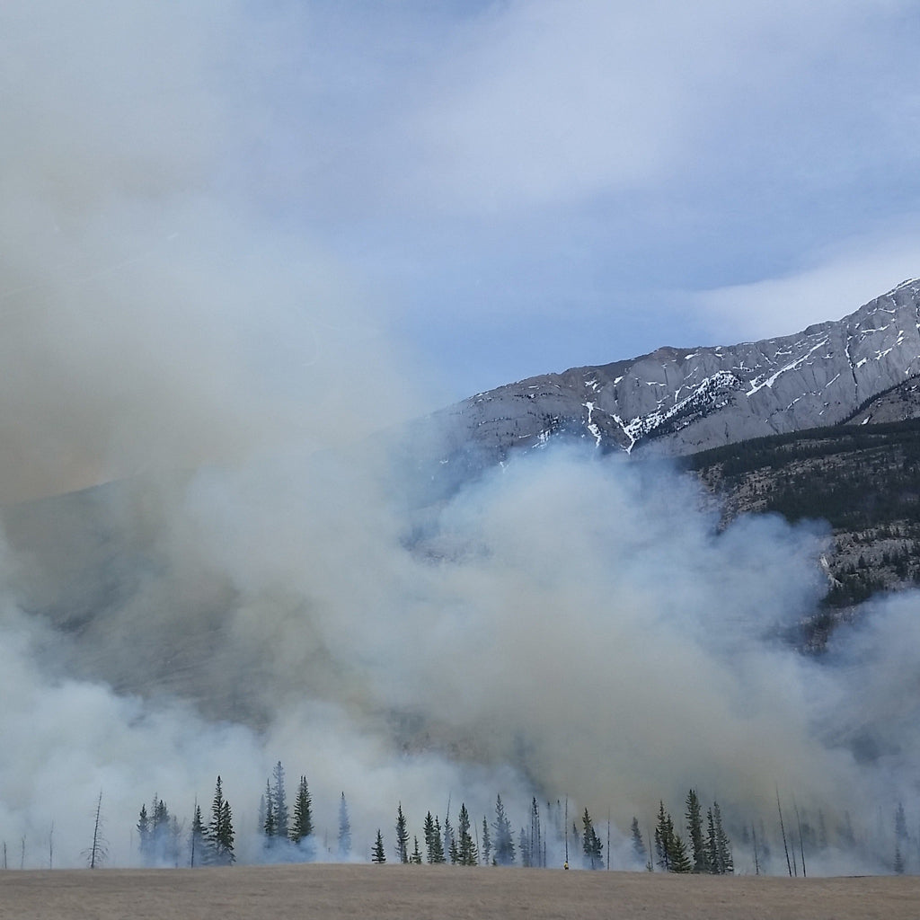 Detoxing From Poor Air Quality, Smoke Inhalation and Fires