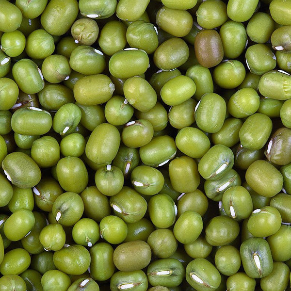 Mung Beans